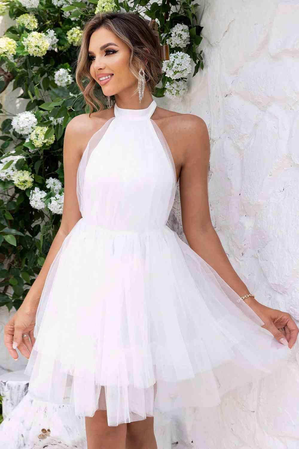 Halter Neck Backless Mesh Dress - Immenzive